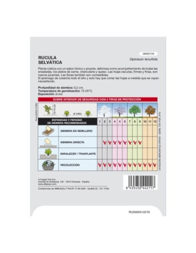 Semillas Aromaticas Rucula Selvatica (2.5 gramos) Horticultura, Horticola, Semillas Huerto.
