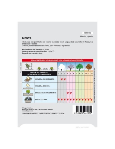 Semillas Aromaticas Menta (0.3 gramos) Horticultura, Horticola, Semillas Huerto.