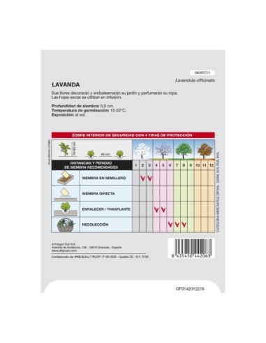 Semillas Aromaticas Lavanda (0.5 gramos) Horticultura, Horticola, Semillas Huerto.